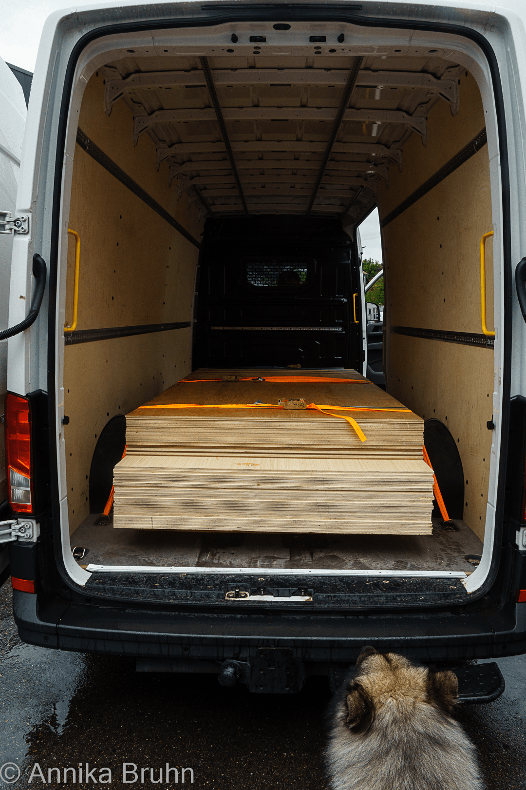 So viel Holz!